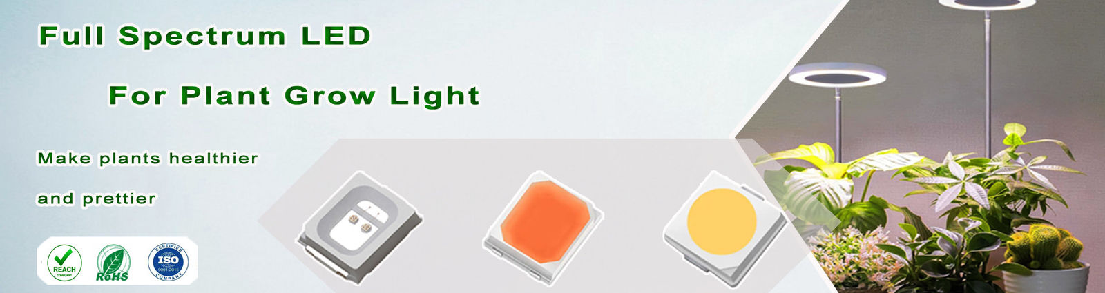 LED SMD دو رنگی
