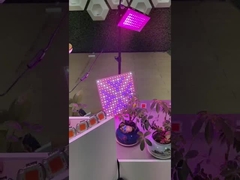 2835 SMD LED PCB طیف کامل COB برای گیاهان LED رشد نور